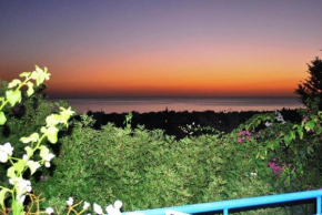 Dionysus Tranquil Villa